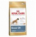 Royal Canin Dog Food Boxer Adult 3 Kg Petshop18.com